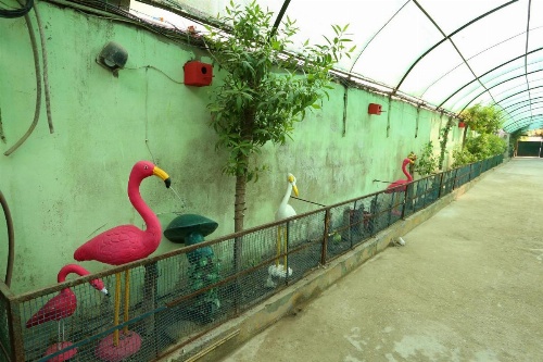 Hotel Regine Inn image 11